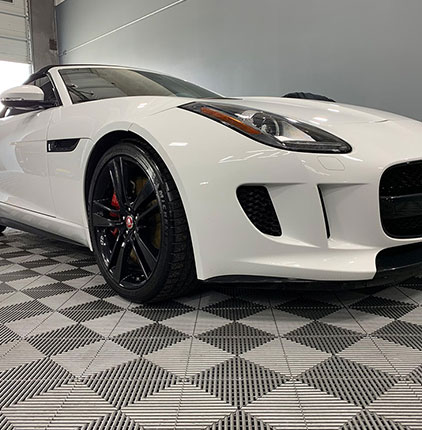 White Jaguar front photo