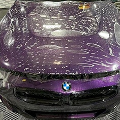 Car Detailers Specializing In BMW Paint Correction And Vinyl Wrap