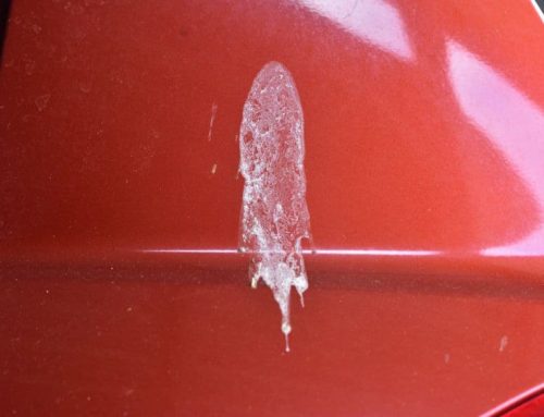 5 Most Common Causes of Damage to Car Paint