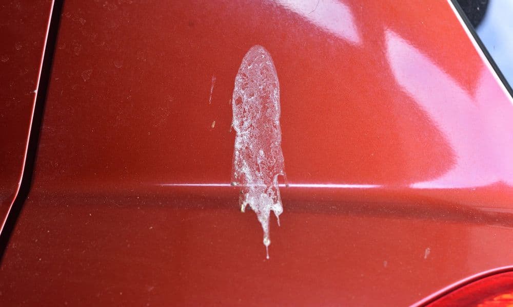 5 Most Common Causes of Damage to Car Paint